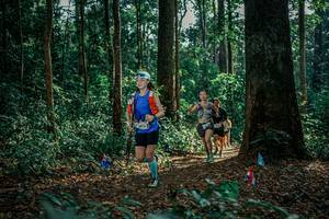 BIB: 
                            <button type="button" onclick="openModal(26127780)" class="btn btn-primary btn-sm float-right btn-popup" data-toggle="modal" data-target=".modal-high-quality">
                        <i class="fas fa-shopping-cart"></i> Add to Cart
                    </button>
                                            <button type="button" onclick="isThisMe(26127780, true)" class="btn btn-success btn-sm float-right btn-popup btn-isme hidden" data-toggle="tooltip" data-placement="bottom" title="นี่คือรูปของคุณใช่ไหม คลิกที่นี่เพื่อเอาเข้าอัลบั้ม">
                        <i class="fas fa-plus"></i> Add to album
                    </button>
                    <button type="button" onclick="isThisMe(26127780, false)" class="btn btn-warning btn-sm float-right btn-popup btn-isnotme hidden">
                        <i class="fas fa-ban"></i> Remove from album
                    </button>